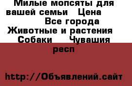 Милые мопсяты для вашей семьи › Цена ­ 20 000 - Все города Животные и растения » Собаки   . Чувашия респ.